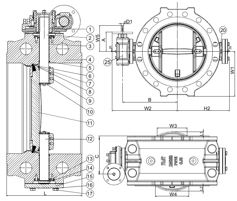 AVK VAN BƯỚM LỆCH TÂM KÉP, PN10/16